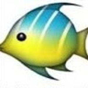 Meet your Posher, Ocean